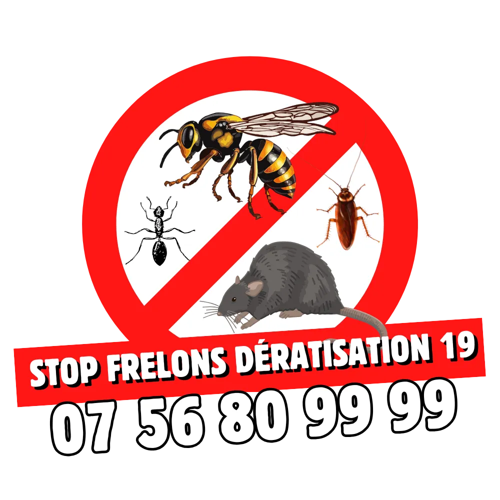 Logo STOP Frelons Dératisation 19